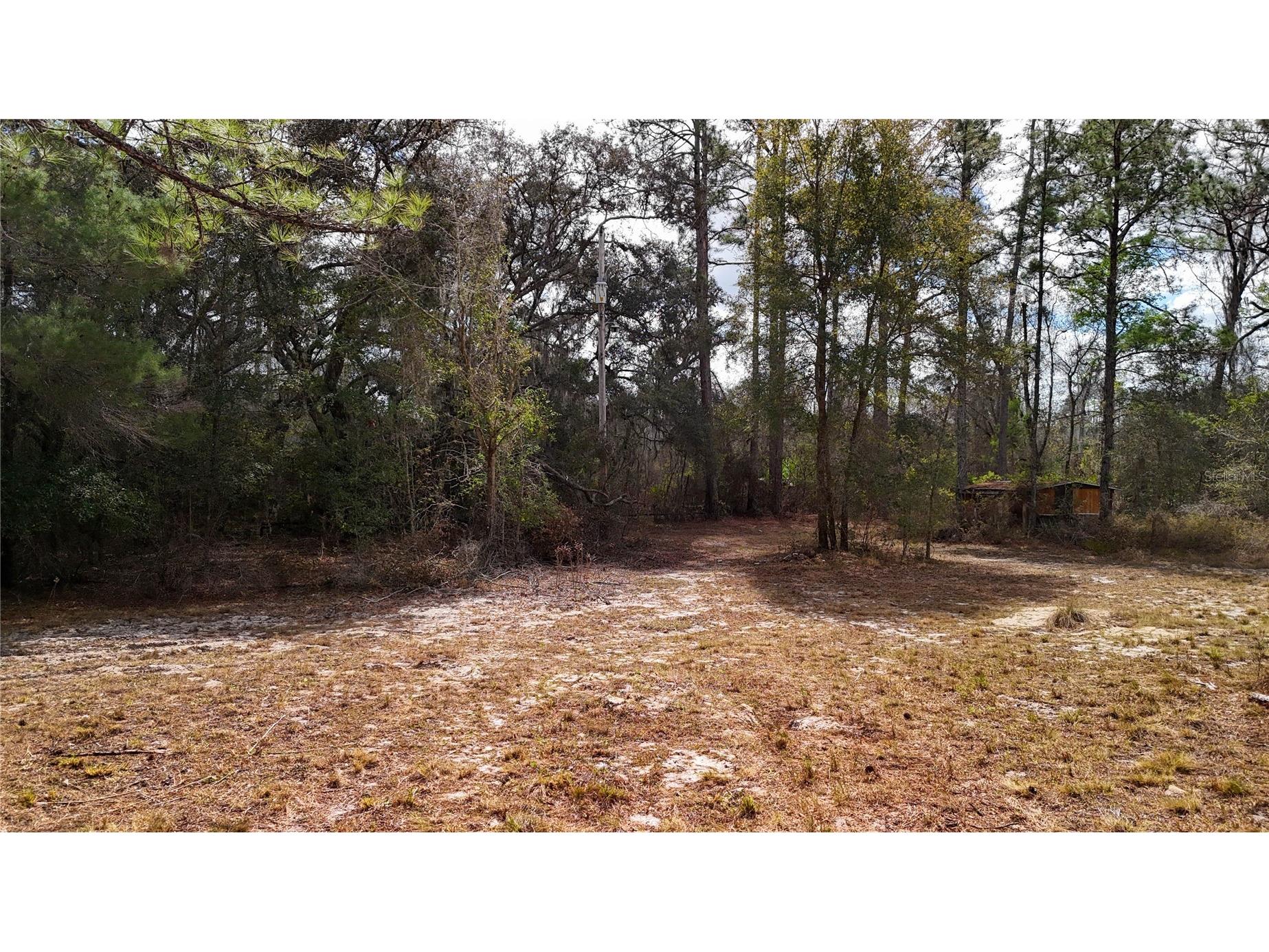237 Highland Drive Hawthorne FL 32640 GC538143 image11