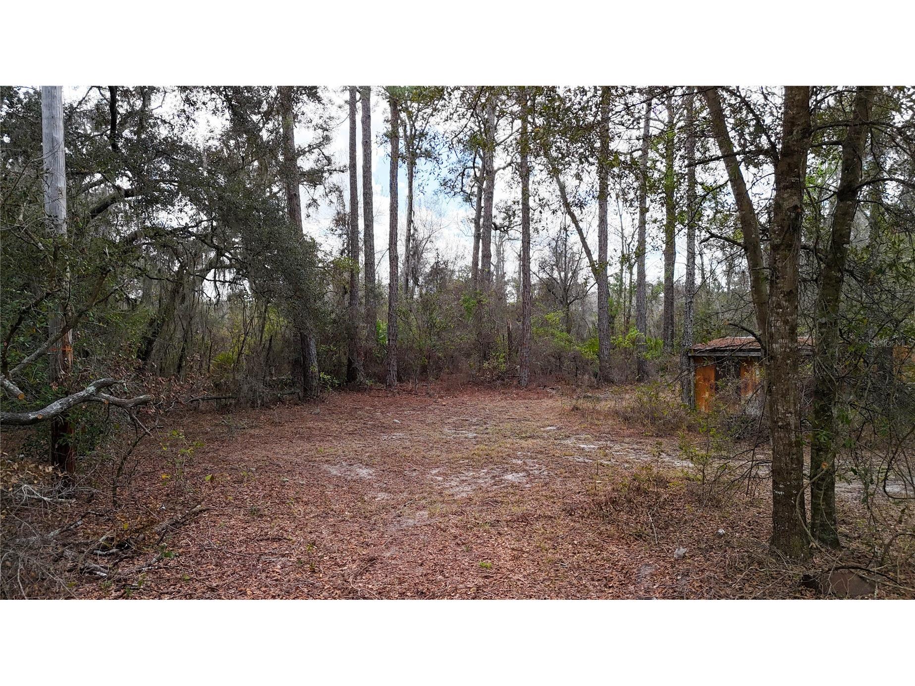 237 Highland Drive Hawthorne FL 32640 GC538143 image12