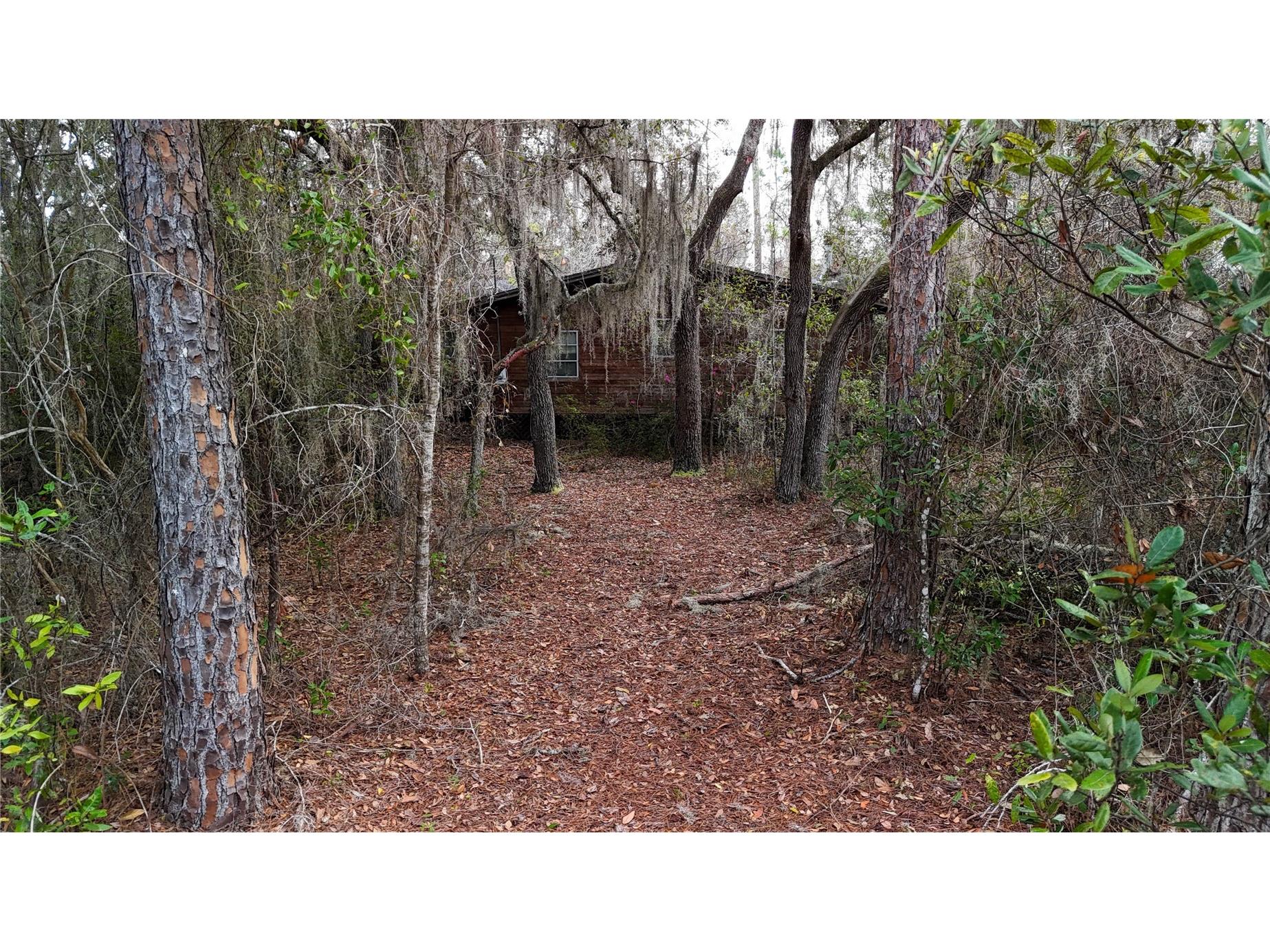 237 Highland Drive Hawthorne FL 32640 GC538143 image13