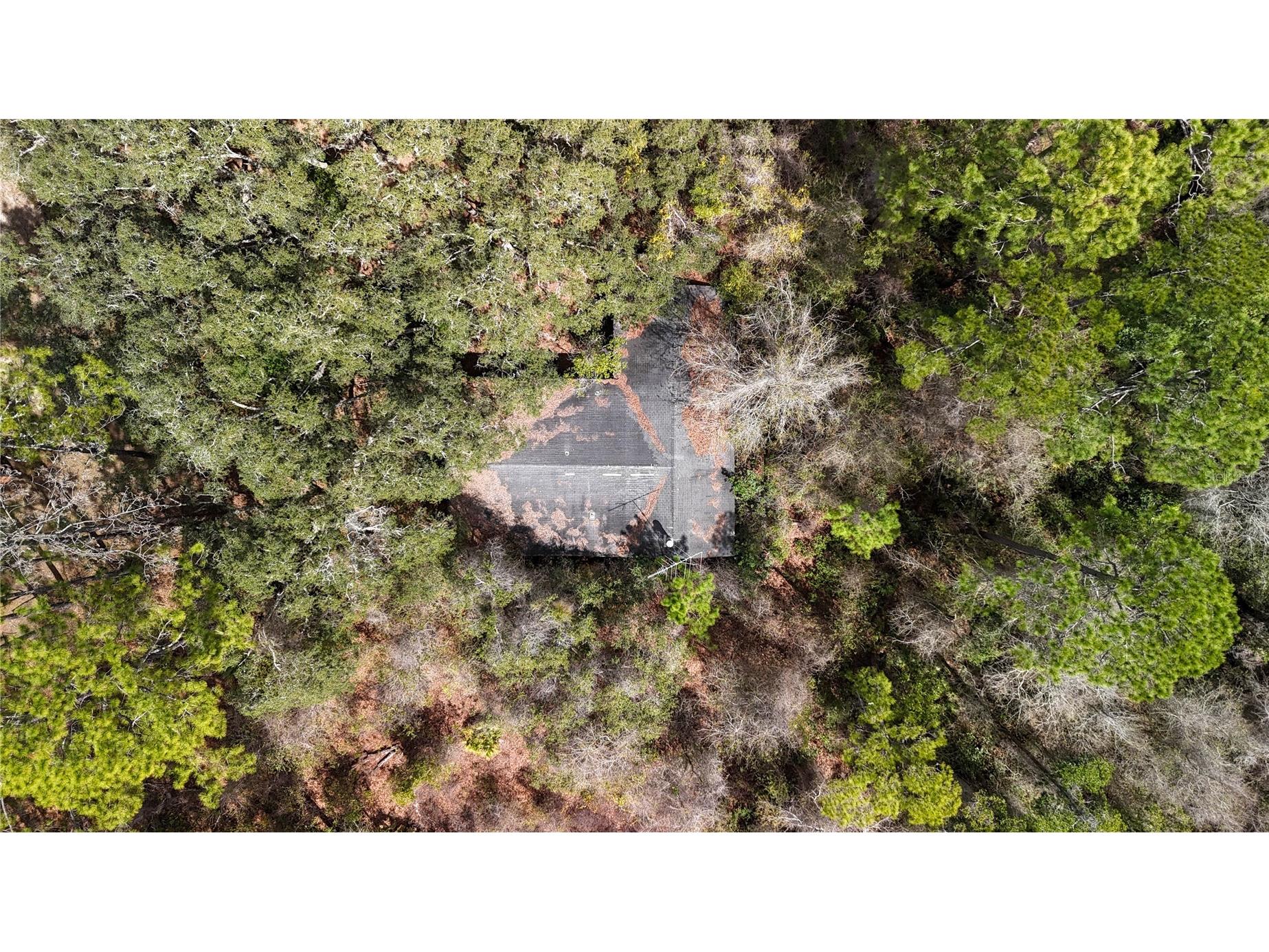 237 Highland Drive Hawthorne FL 32640 GC538143 image28