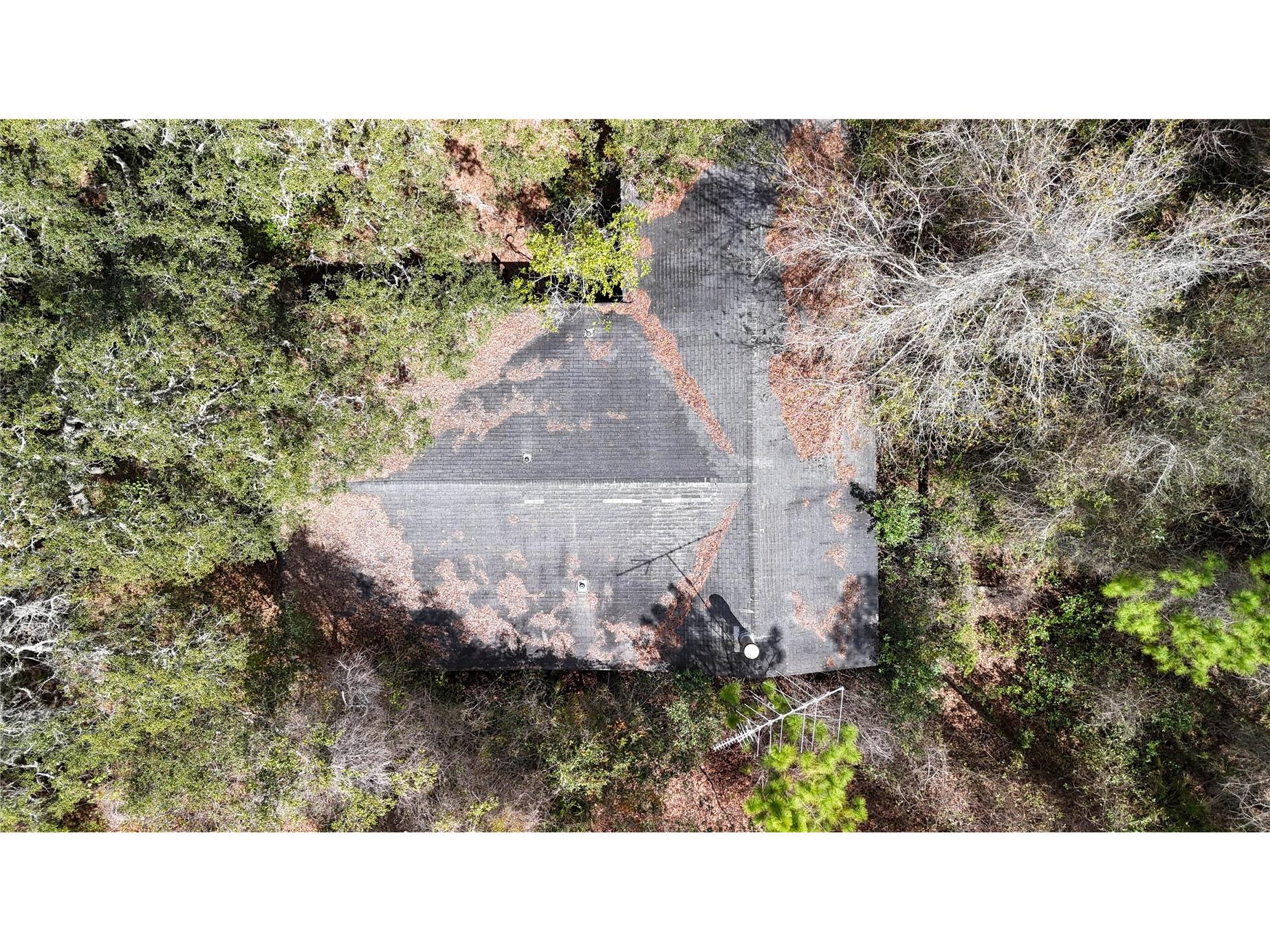 237 Highland Drive Hawthorne FL 32640 GC538143 image29