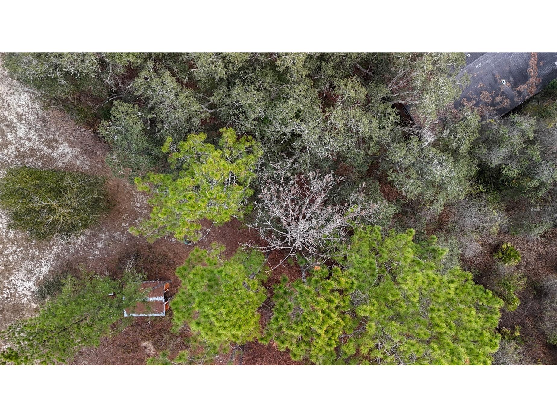 237 Highland Drive Hawthorne FL 32640 GC538143 image33