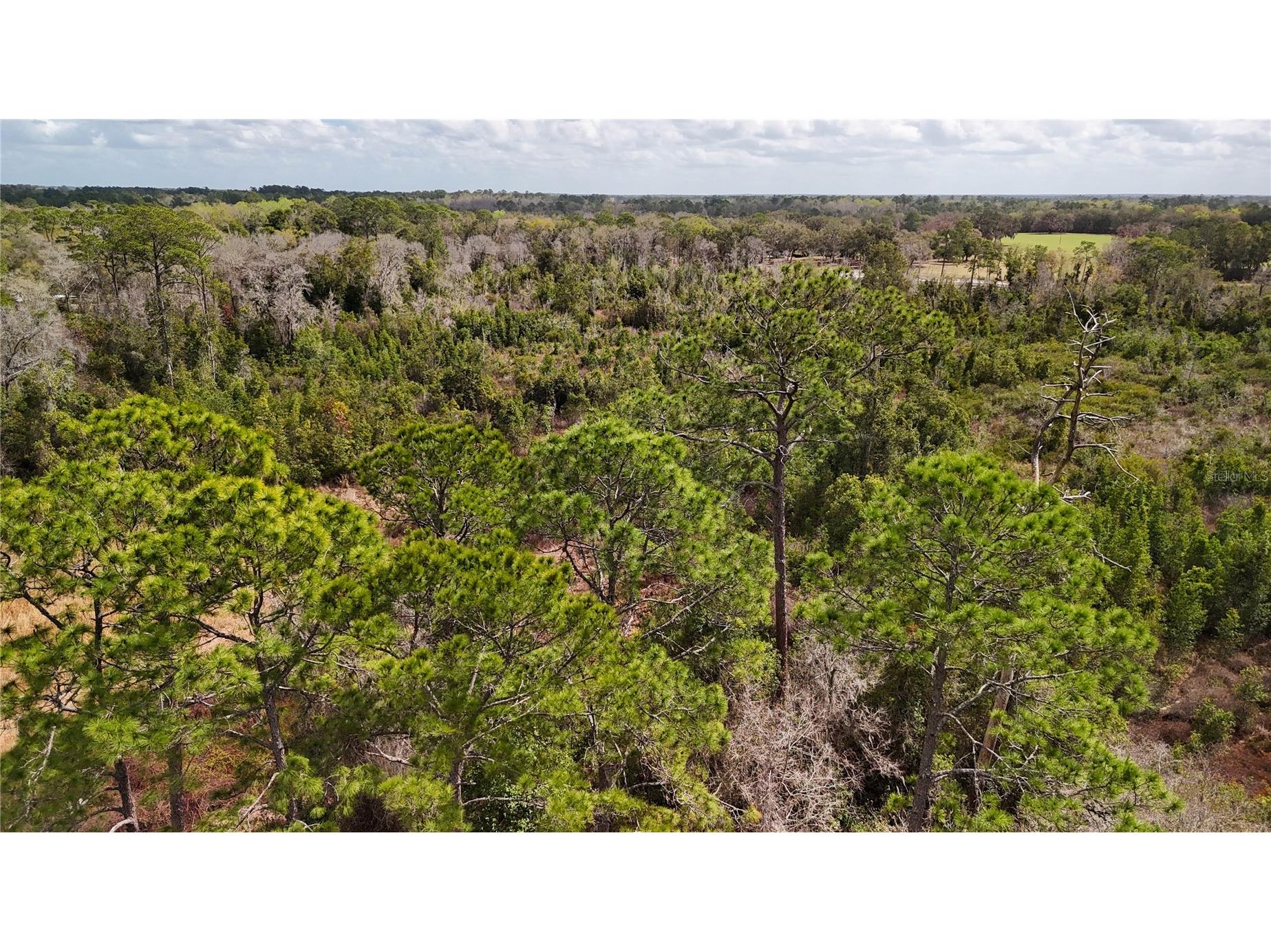 237 Highland Drive Hawthorne FL 32640 GC538143 image34