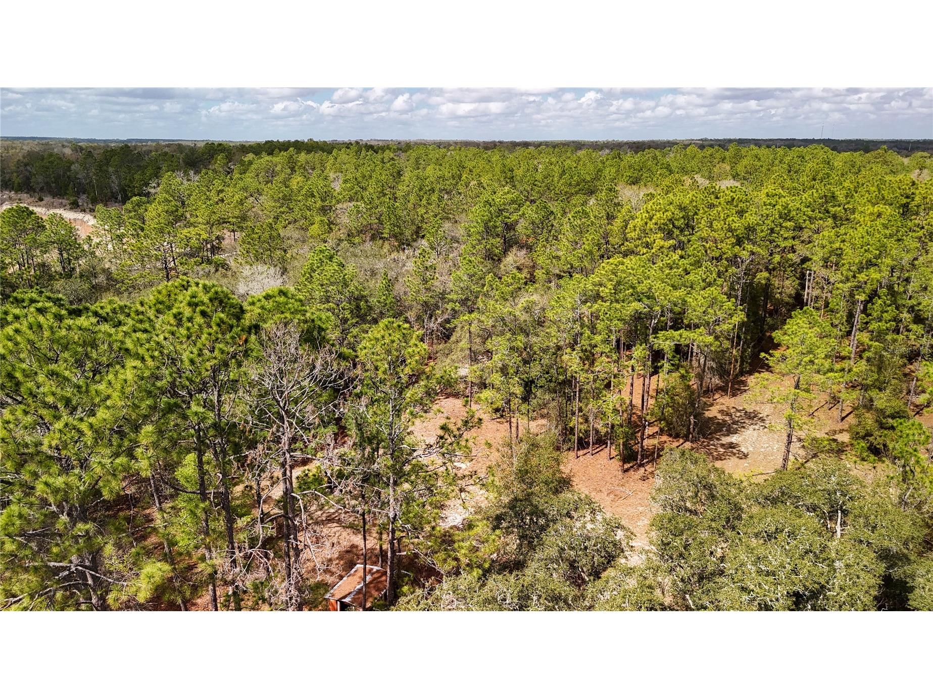 237 Highland Drive Hawthorne FL 32640 GC538143 image35