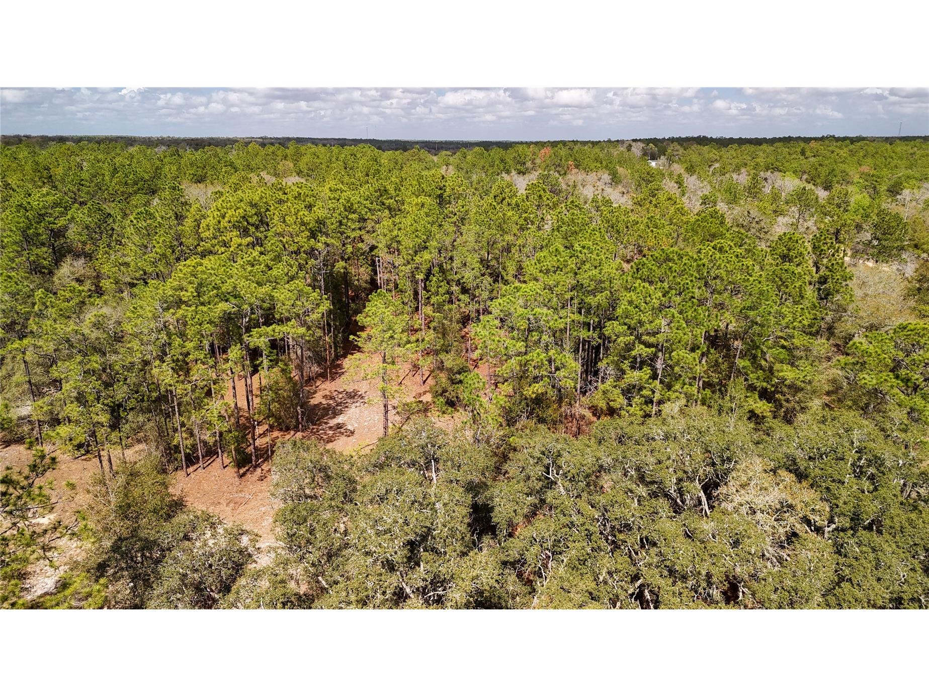 237 Highland Drive Hawthorne FL 32640 GC538143 image36