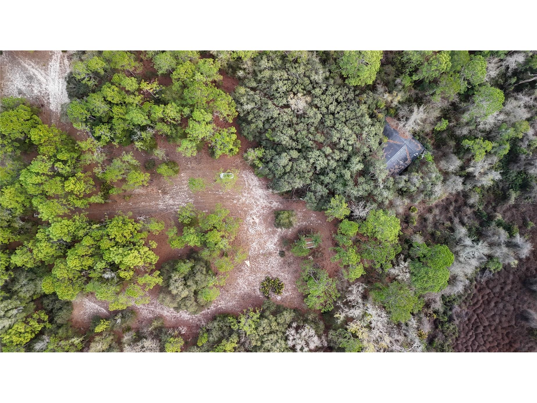 237 Highland Drive Hawthorne FL 32640 GC538143 image5
