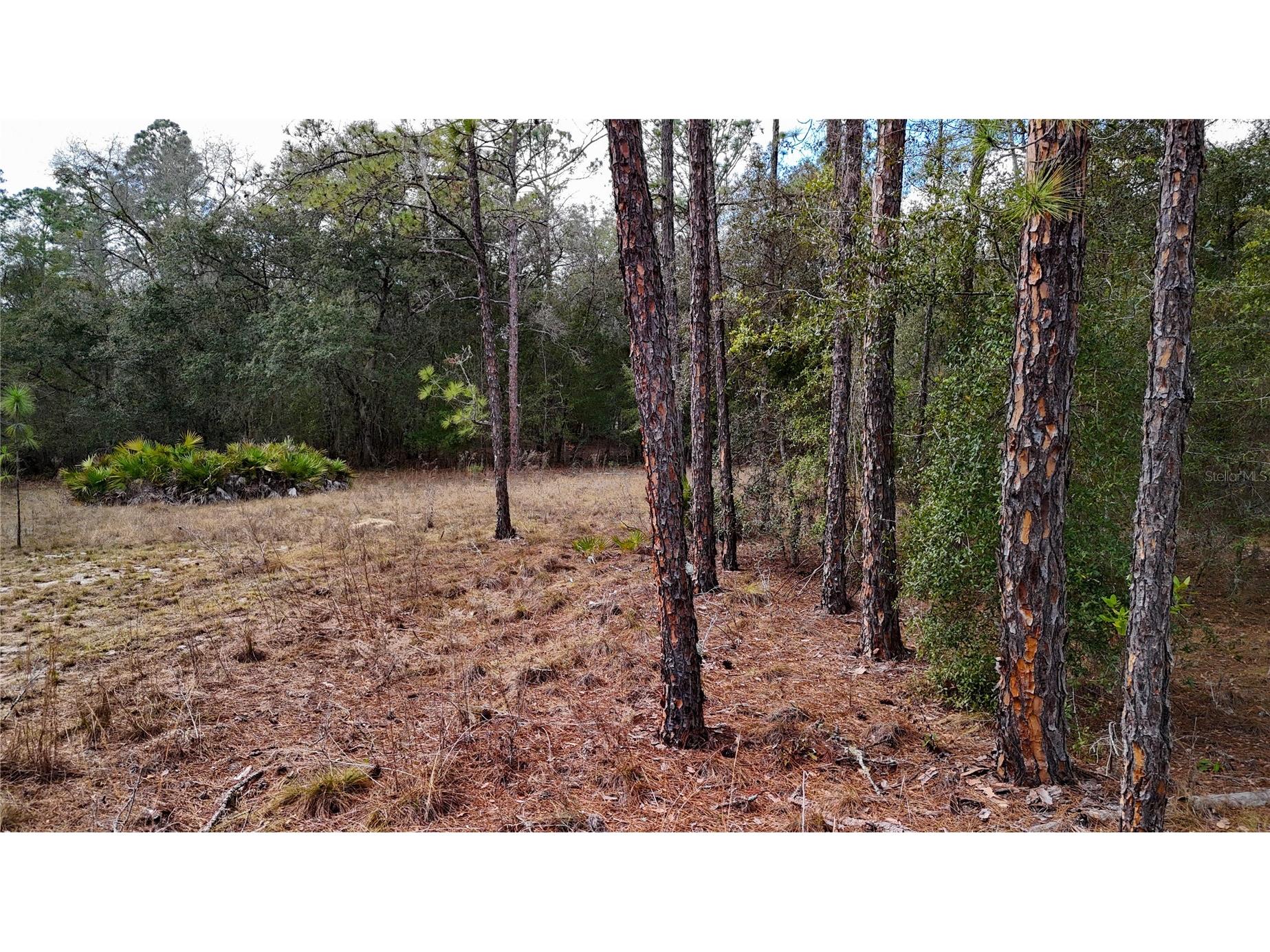 237 Highland Drive Hawthorne FL 32640 GC538143 image6