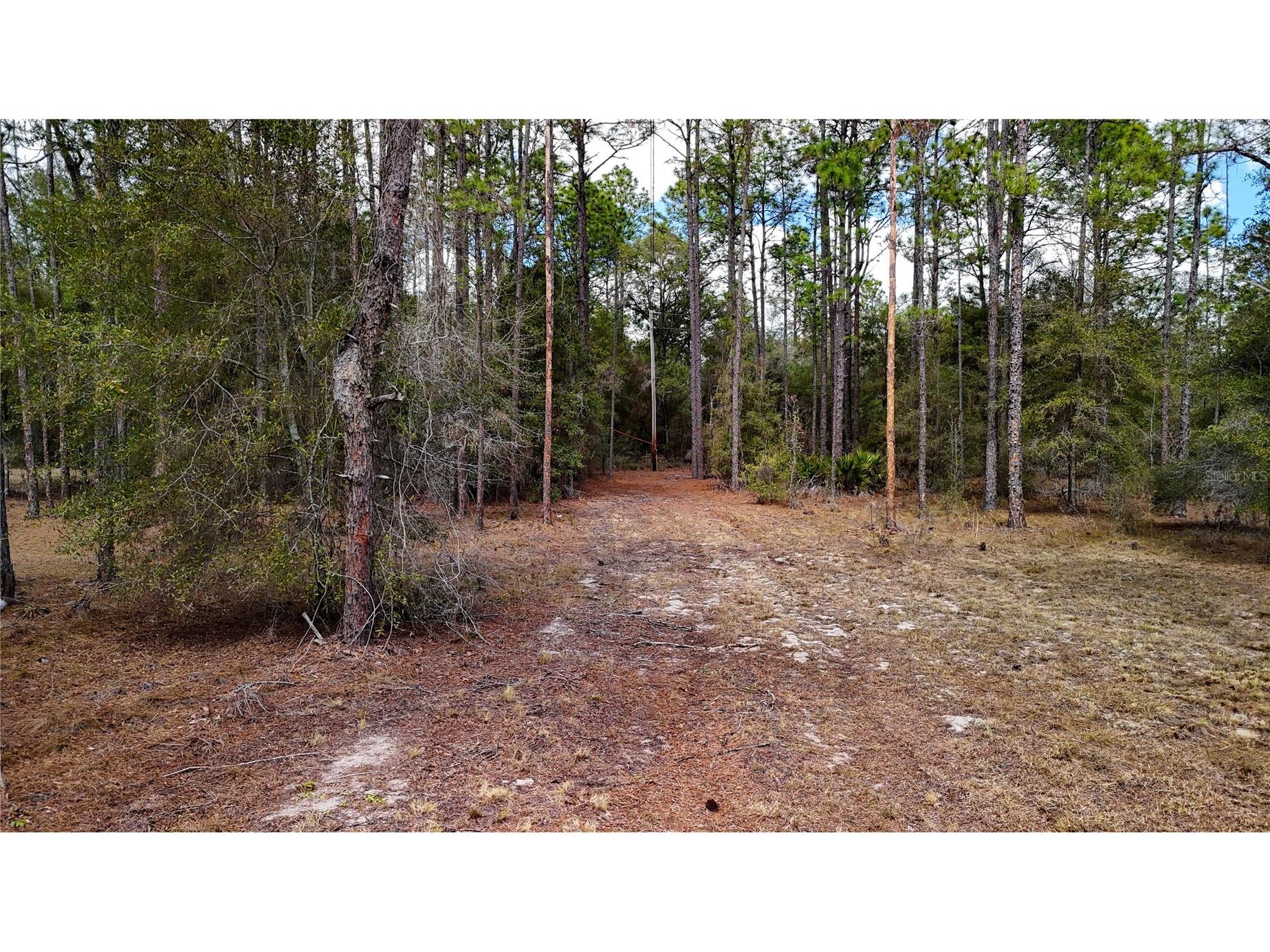 237 Highland Drive Hawthorne FL 32640 GC538143 image7