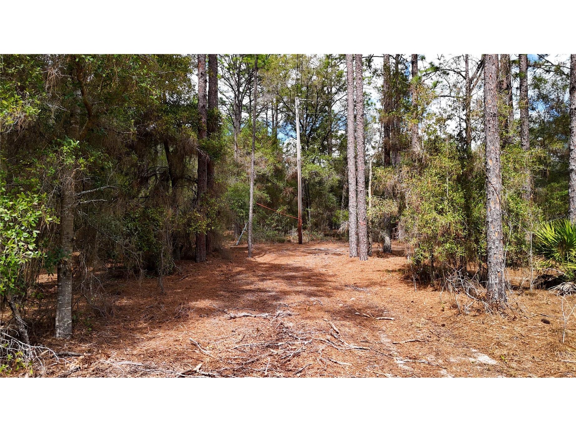 237 Highland Drive Hawthorne FL 32640 GC538143 image8