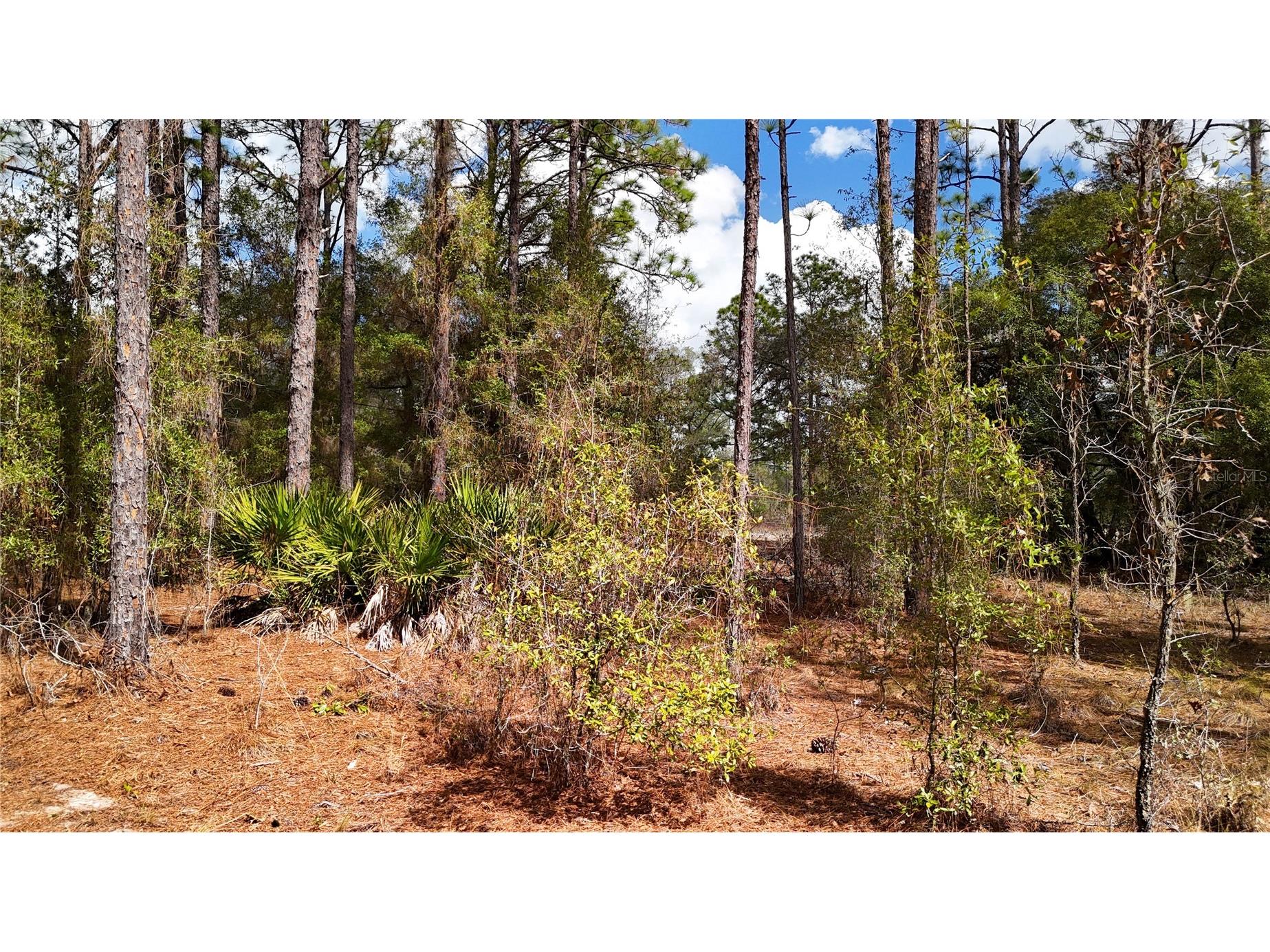 237 Highland Drive Hawthorne FL 32640 GC538143 image9