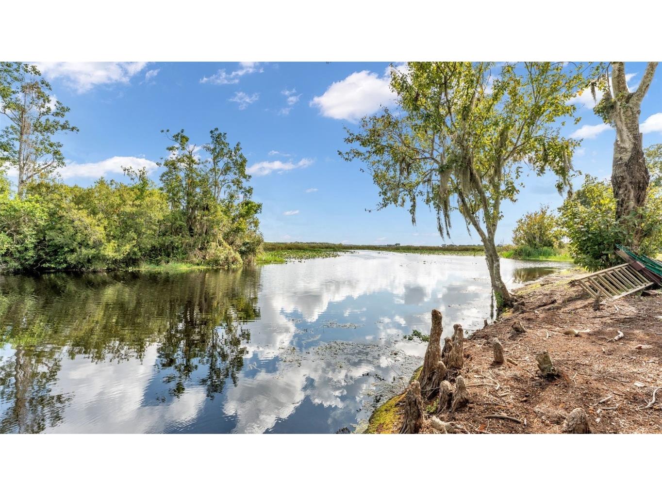 237 Kent Court Haines City FL 33844 - LAKE PIERCE L4956771 image81