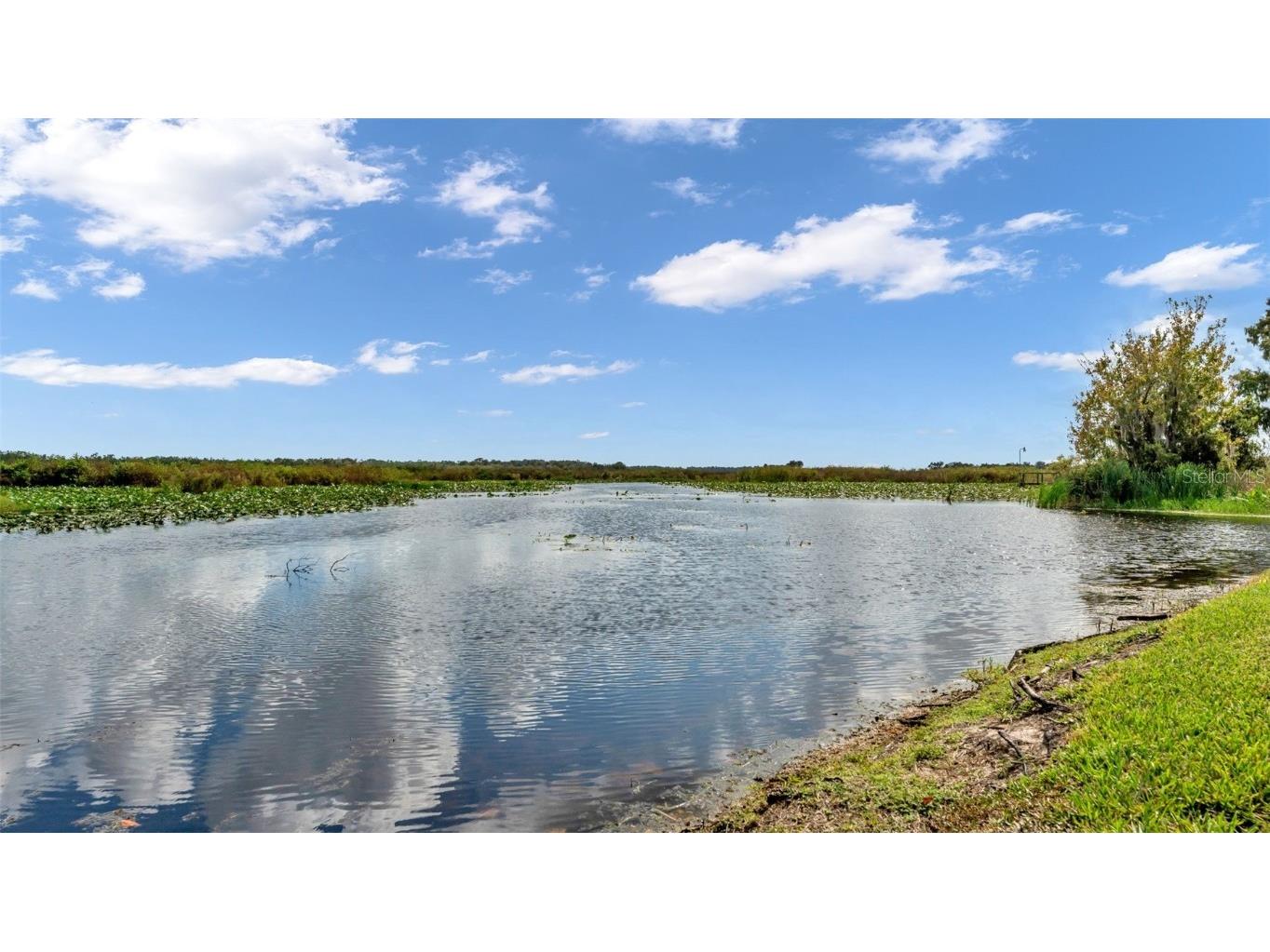 237 Kent Court Haines City FL 33844 - LAKE PIERCE L4956771 image82