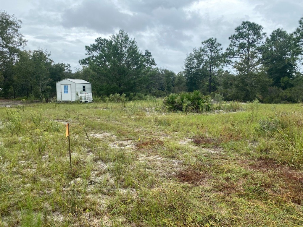 237 Maltas Avenue Interlachen FL 32148 GC525538 image1