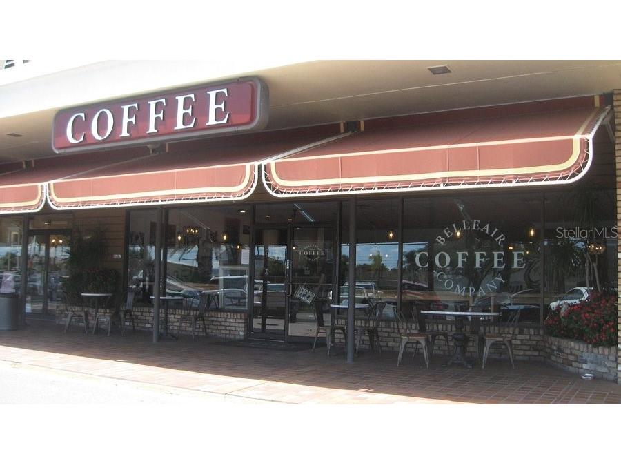 237 Mineola Drive E Belleair Bluffs FL 33770 TB8427619 image53