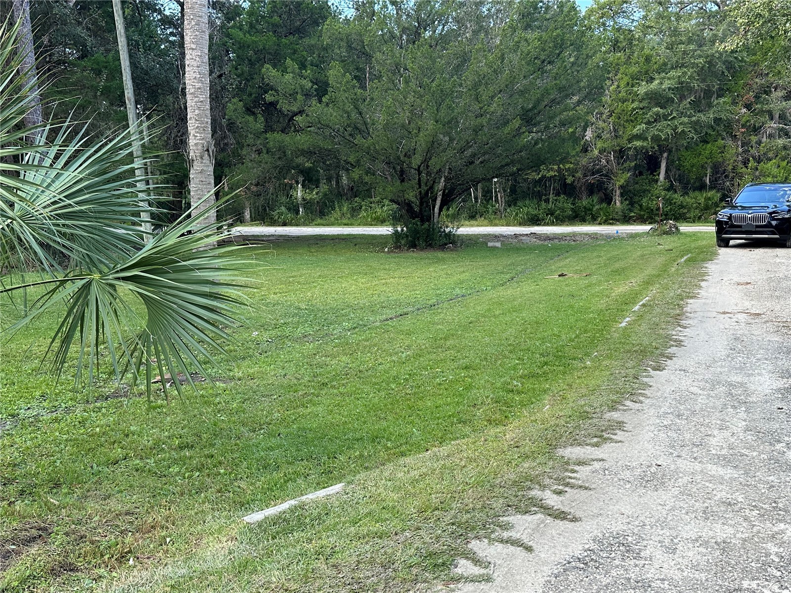 237 N Candle Point Crystal River FL 34429 - Spring Fed Pond TB8437082 image16