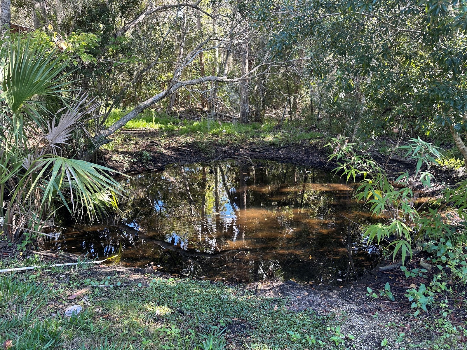 237 N Candle Point Crystal River FL 34429 - Spring Fed Pond TB8437082 image17