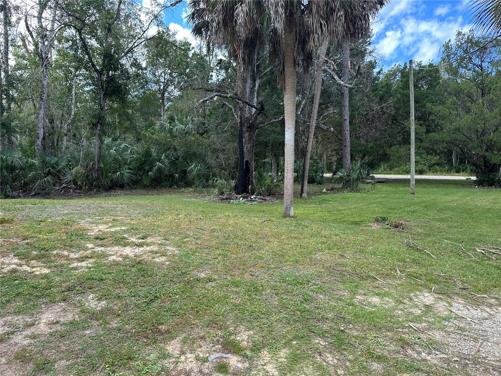 237 N Candle Point Crystal River FL 34429 - Spring Fed Pond TB8437082 image18