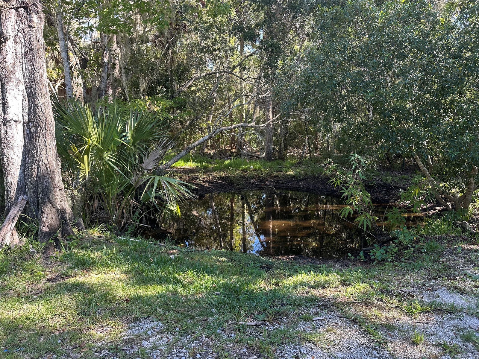 237 N Candle Point Crystal River FL 34429 - Spring Fed Pond TB8437082 image19