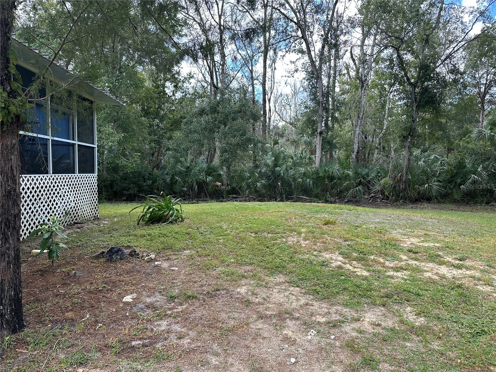 237 N Candle Point Crystal River FL 34429 - Spring Fed Pond TB8437082 image20