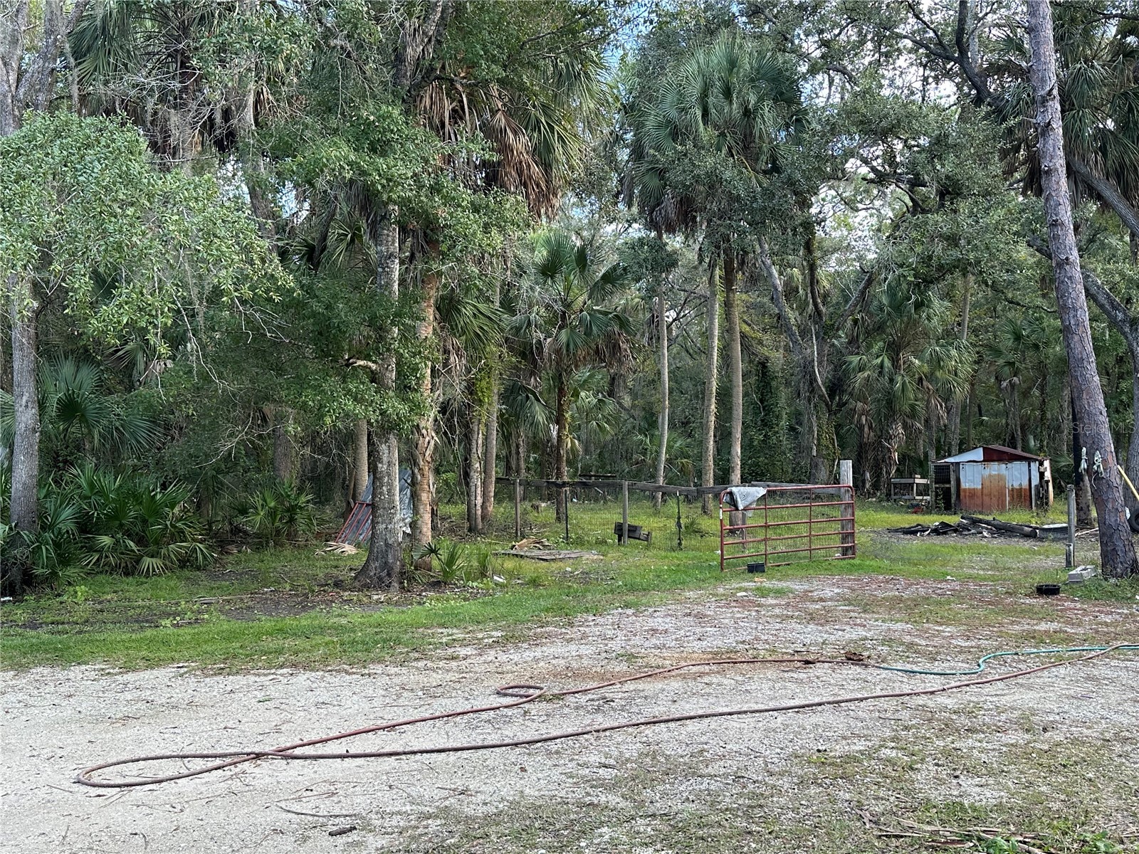 237 N Candle Point Crystal River FL 34429 - Spring Fed Pond TB8437082 image23