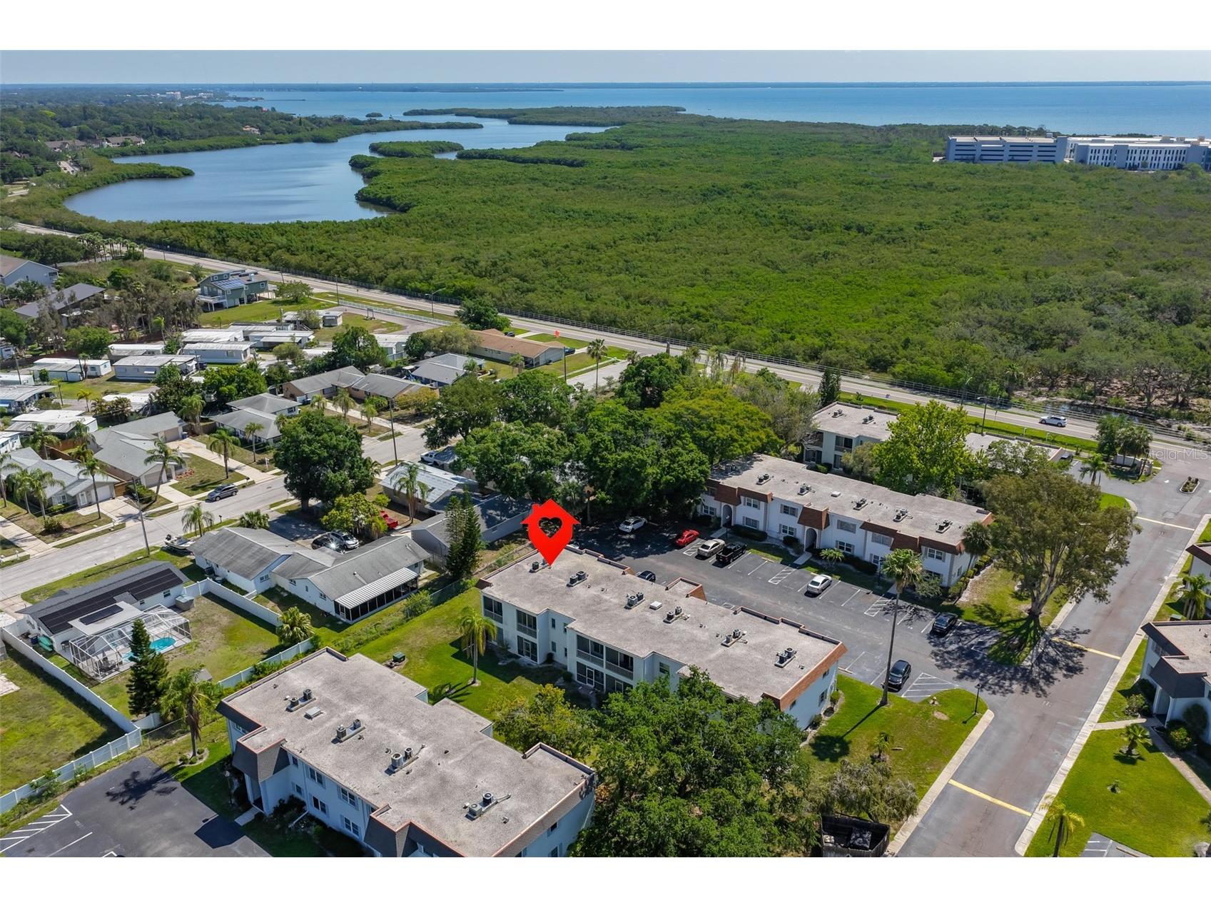 237 S Mcmullen Booth Road #50 Clearwater FL 33759 TB8511206 image25