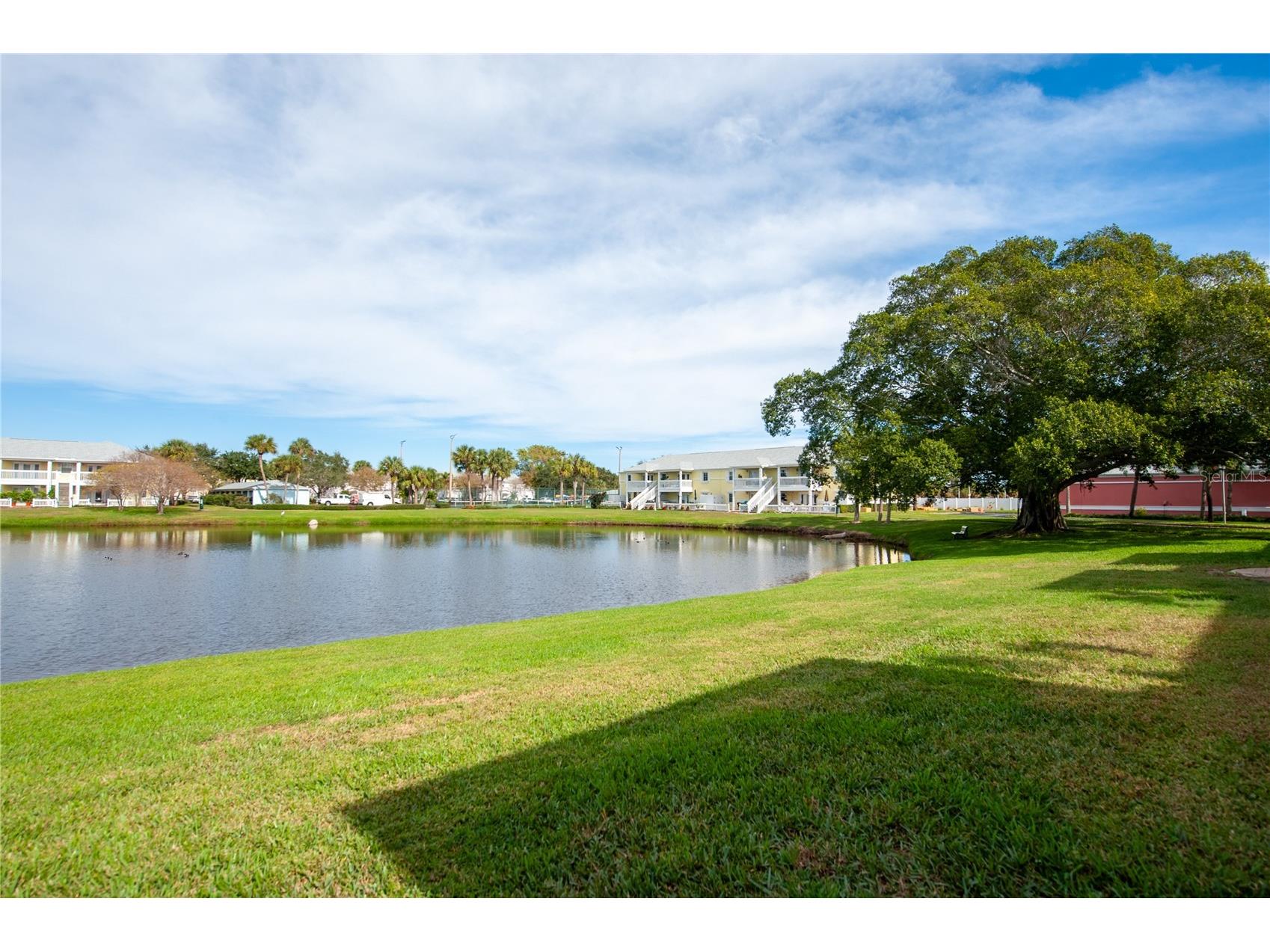 237 Seahorse Drive SE #H Saint Petersburg FL 33705 TB8527911 image24