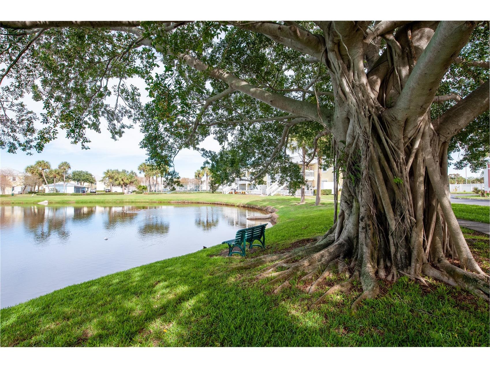 237 Seahorse Drive SE #H Saint Petersburg FL 33705 TB8527911 image28