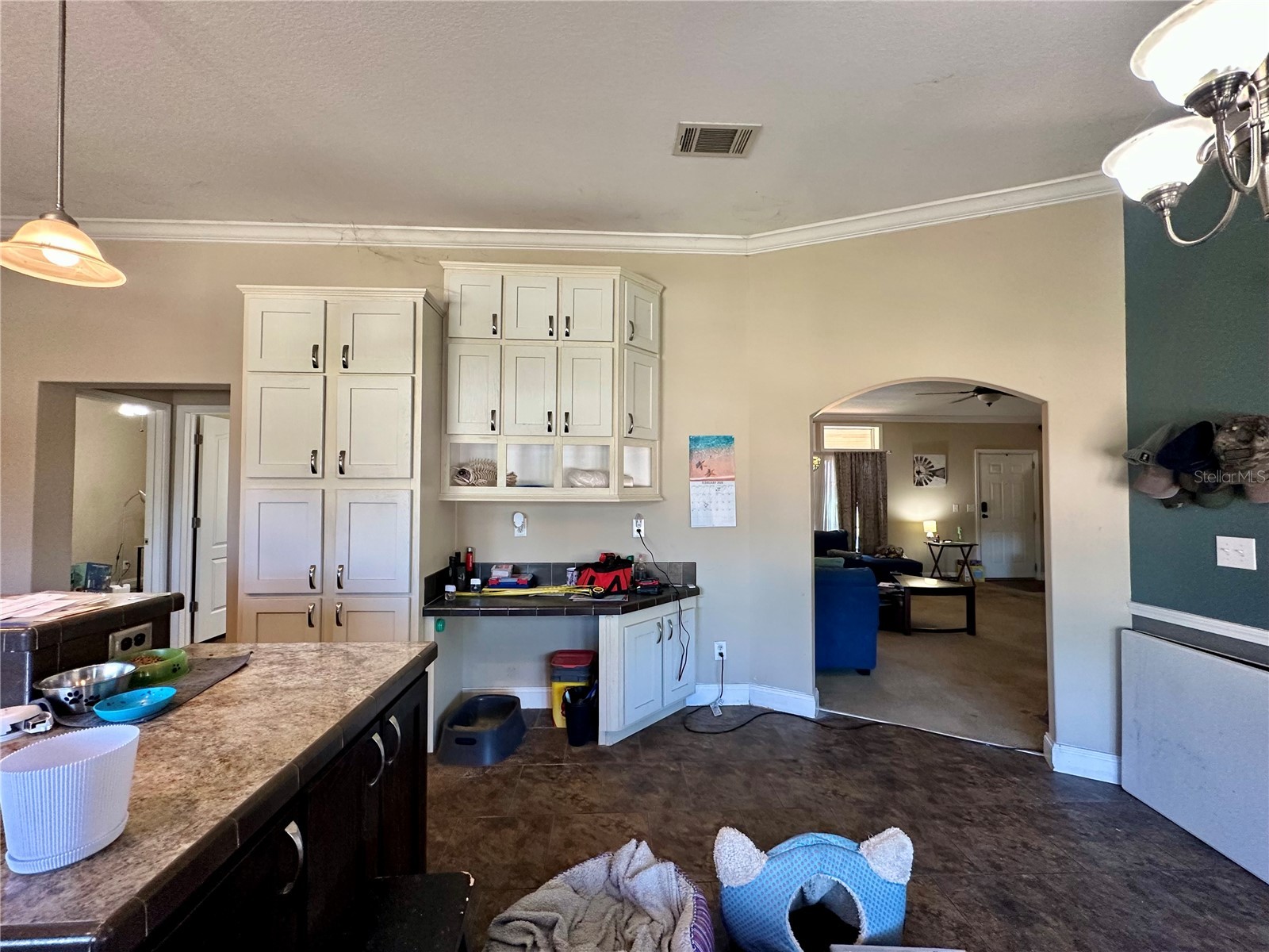 237 SW Baron Glen Fort White FL 32038 OM719438 image20