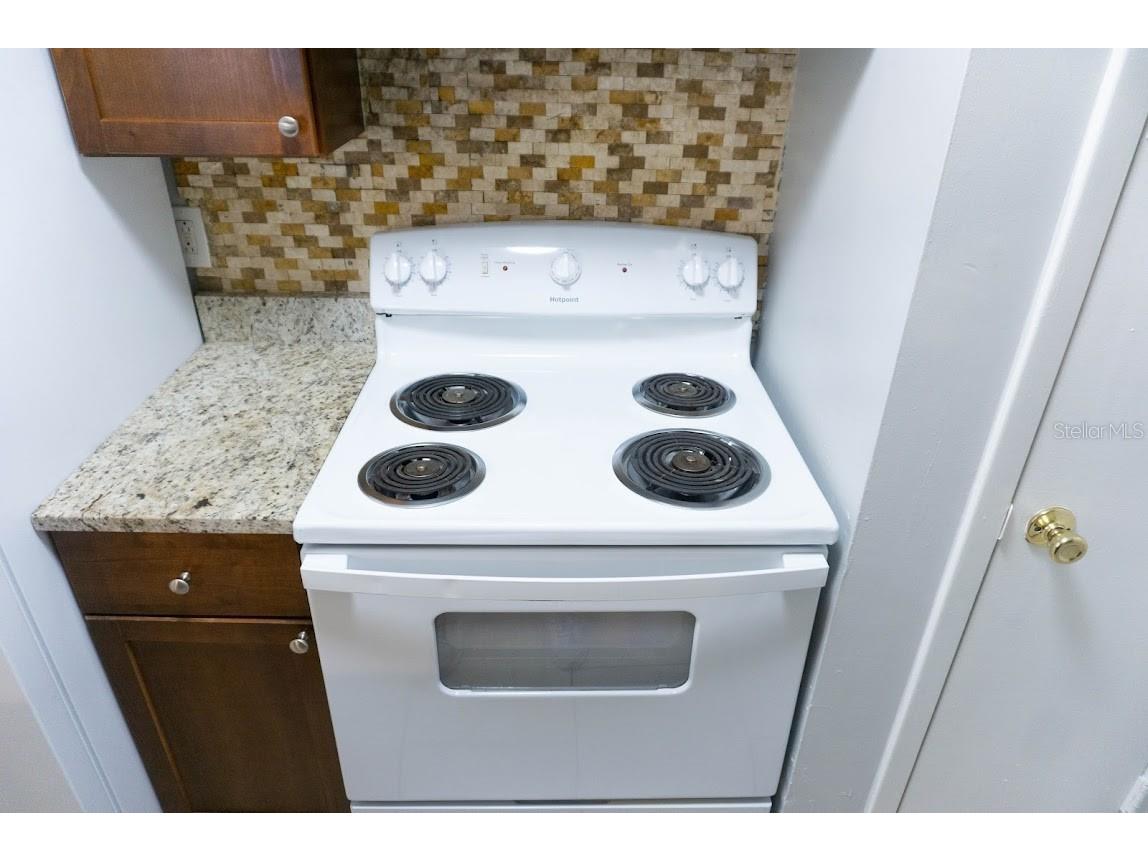 237 Thorn Tree Place #237 Brandon FL 33510 TB8320071 image14