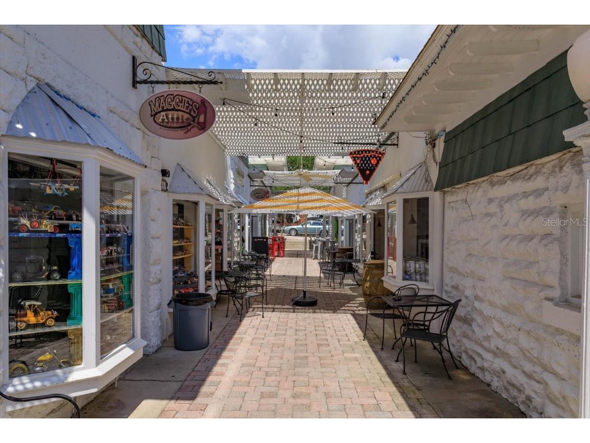 237 W 4th Avenue #2 Mount Dora FL 32757 G5084627 image13