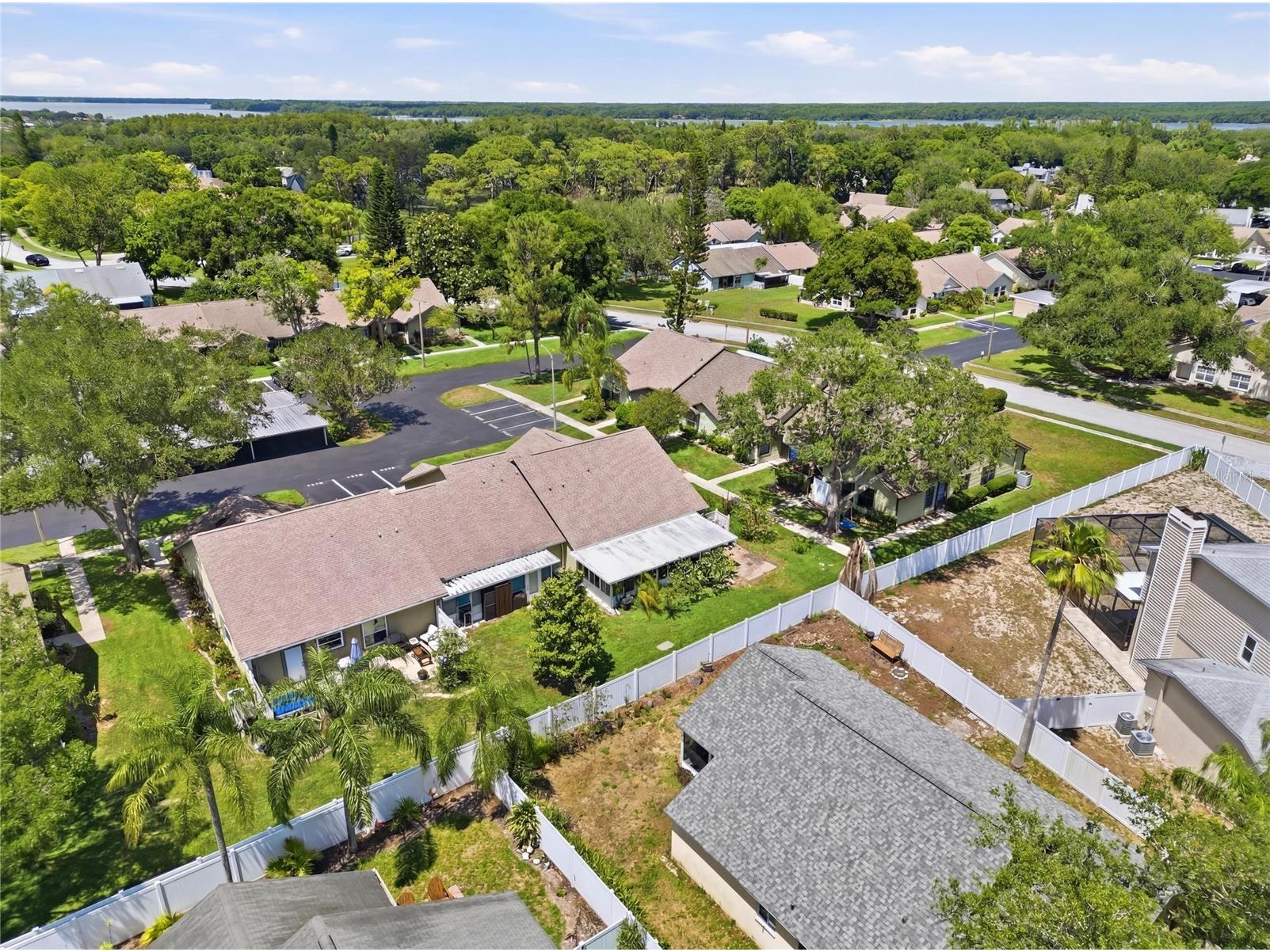 2370 Bentley Drive Palm Harbor FL 34684 TB8509141 image38