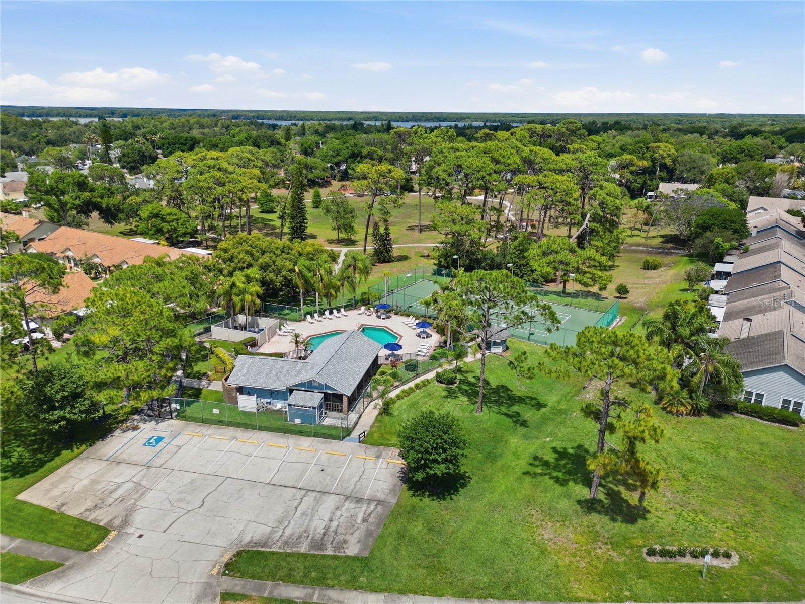 2370 Bentley Drive Palm Harbor FL 34684 TB8509141 image42