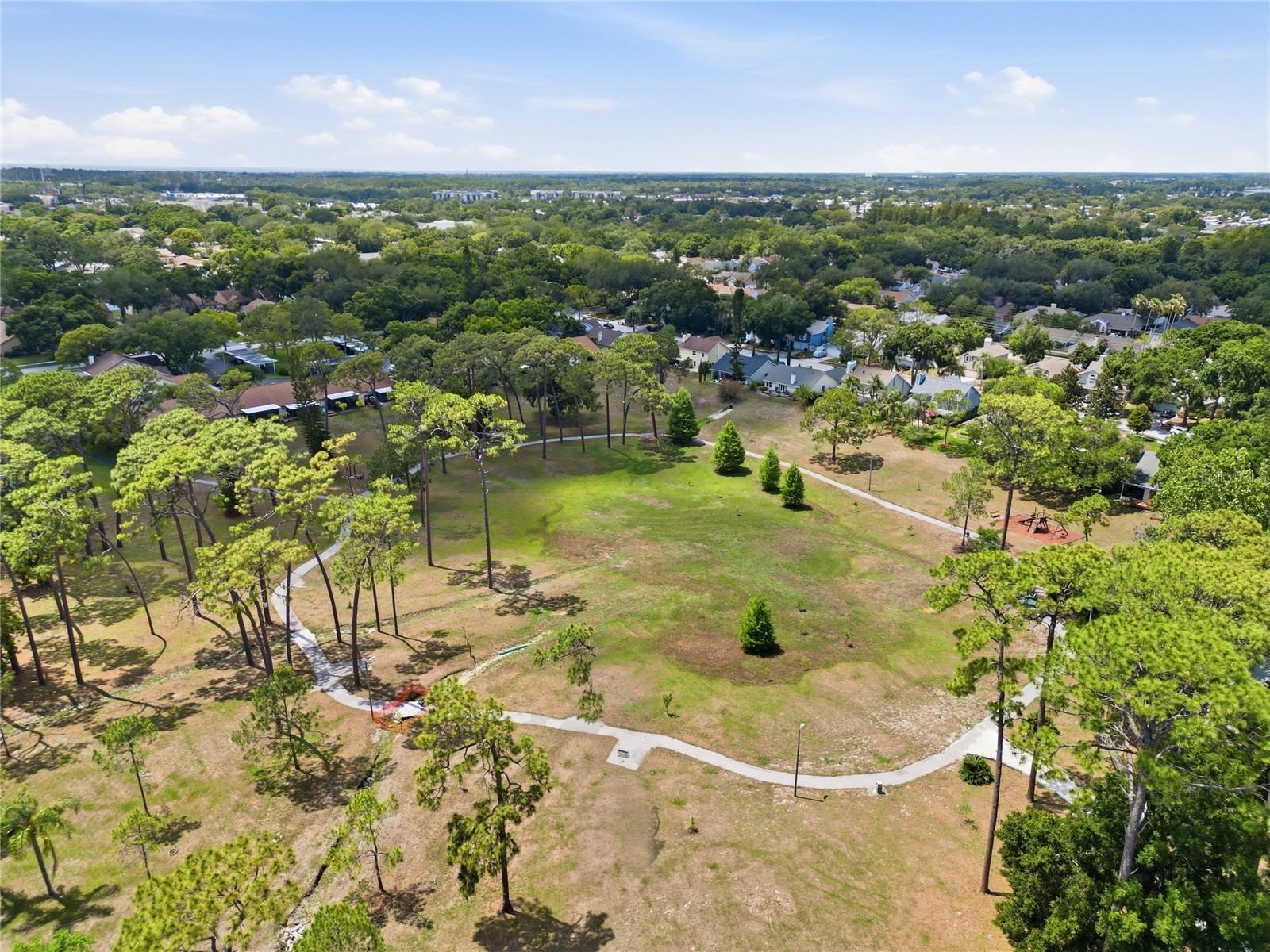 2370 Bentley Drive Palm Harbor FL 34684 TB8509141 image49