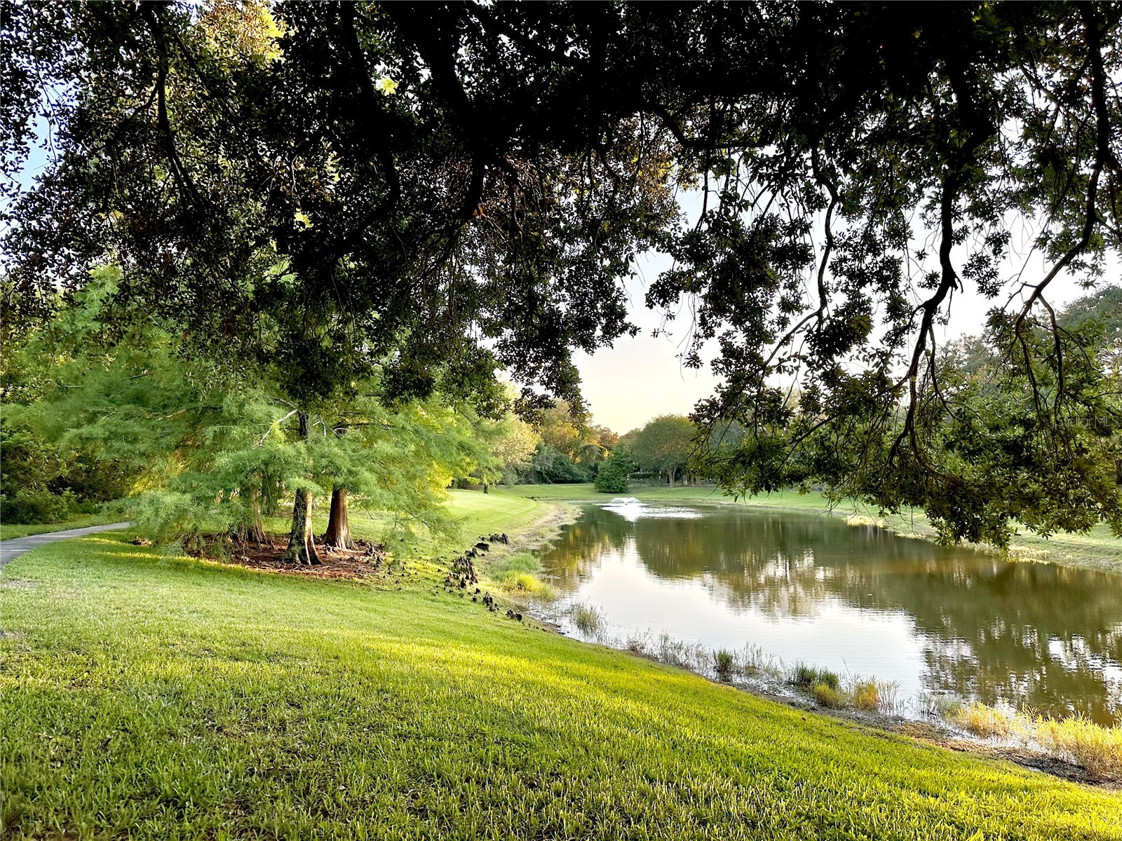 2370 Grand Central Parkway #5 Orlando FL 32839 O6408380 image55