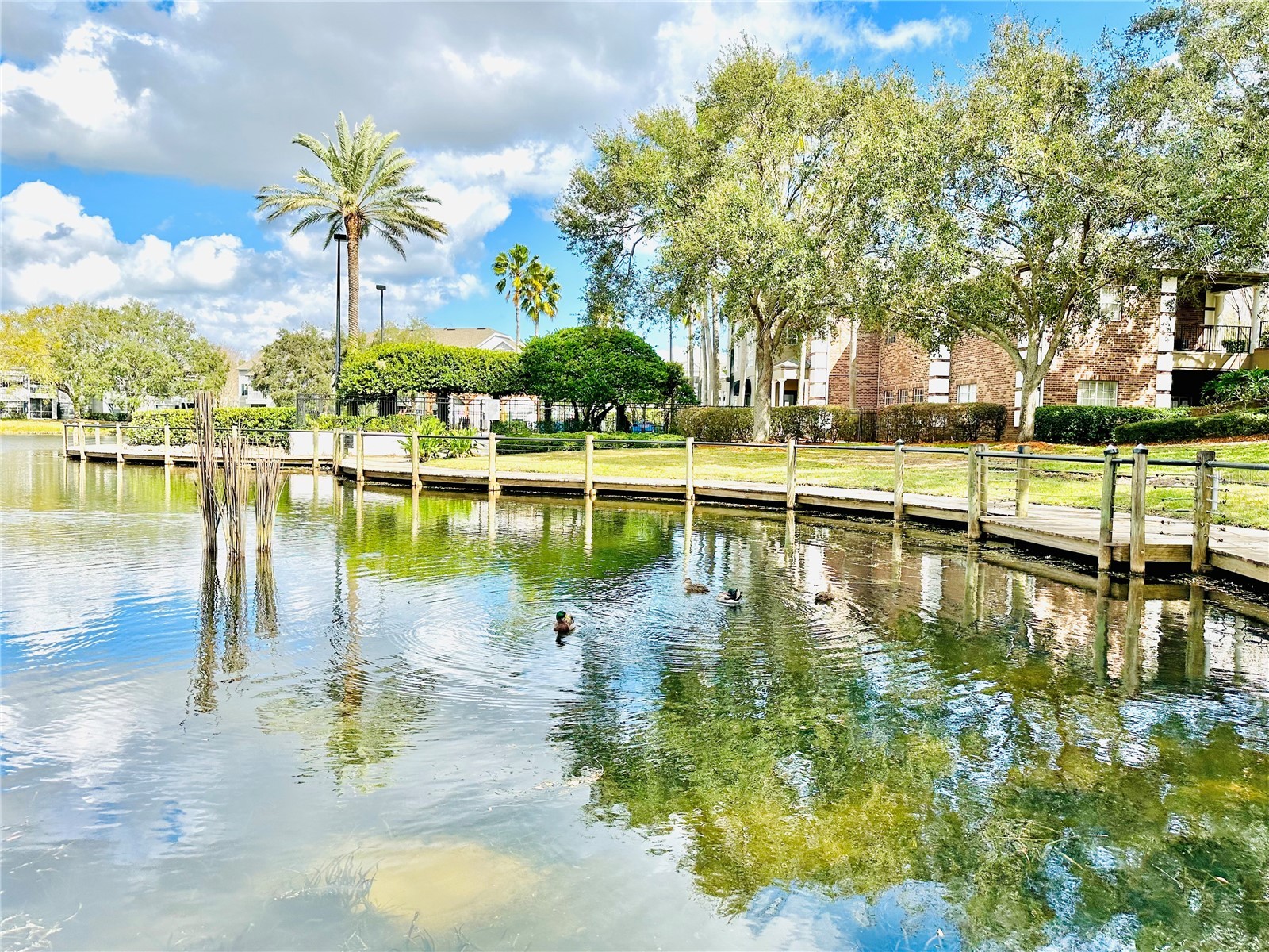 2370 Grand Central Parkway #5 Orlando FL 32839 O6408380 image64