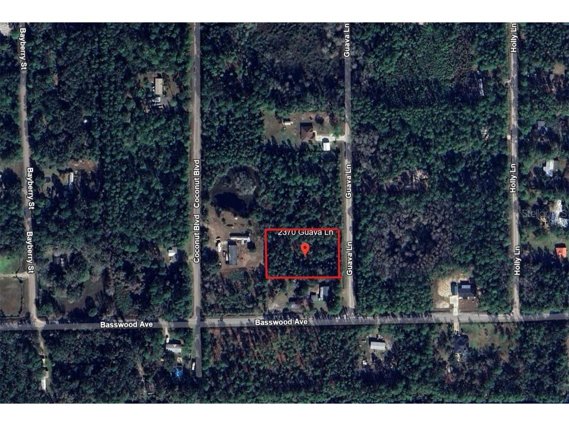 2370 Guava Lane Bunnell FL 32110 V4941664 image2