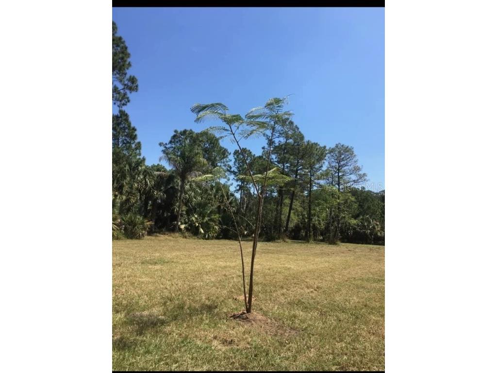 2370 Thacker Trail Kissimmee FL 34747 S5122296 image1