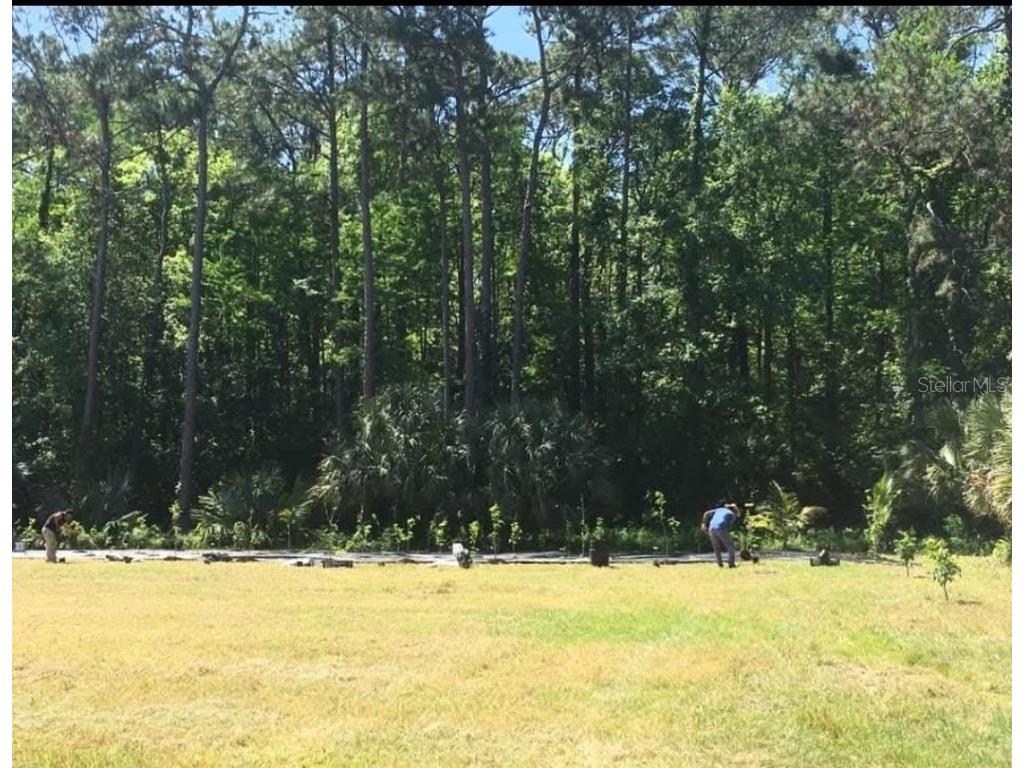 2370 Thacker Trail Kissimmee FL 34747 S5122296 image2