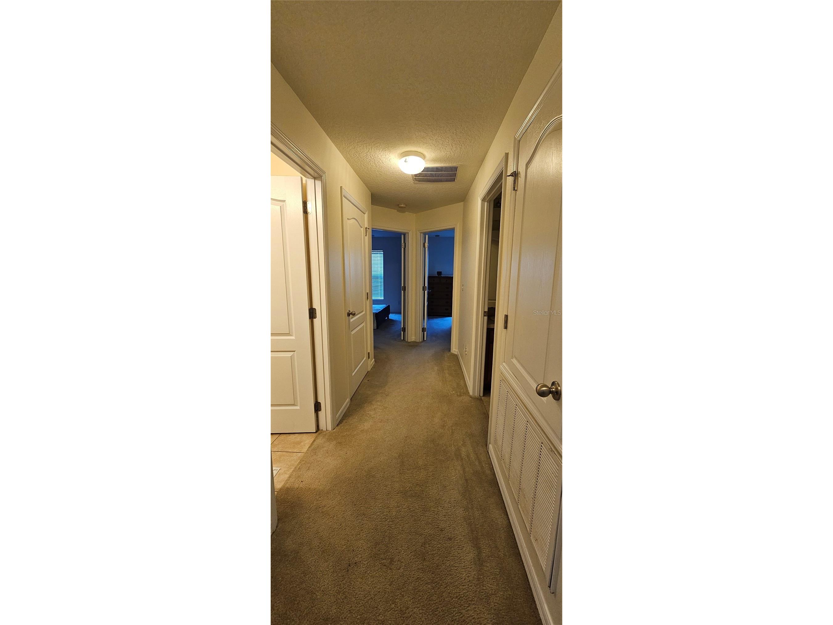 23705 Milford Drive Eustis FL 32736 - Black Bear Lake O6425151 image11