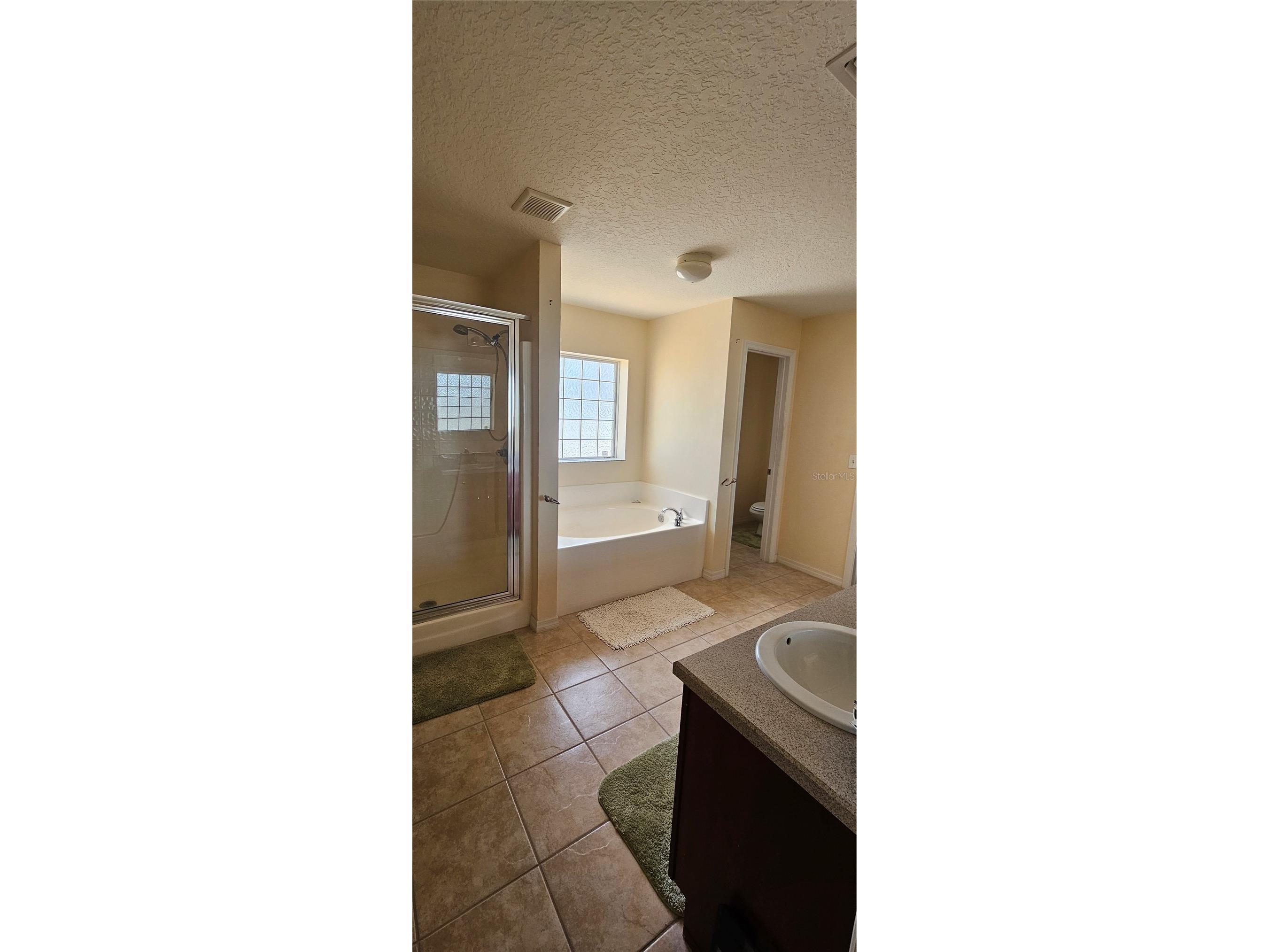 23705 Milford Drive Eustis FL 32736 - Black Bear Lake O6425151 image9