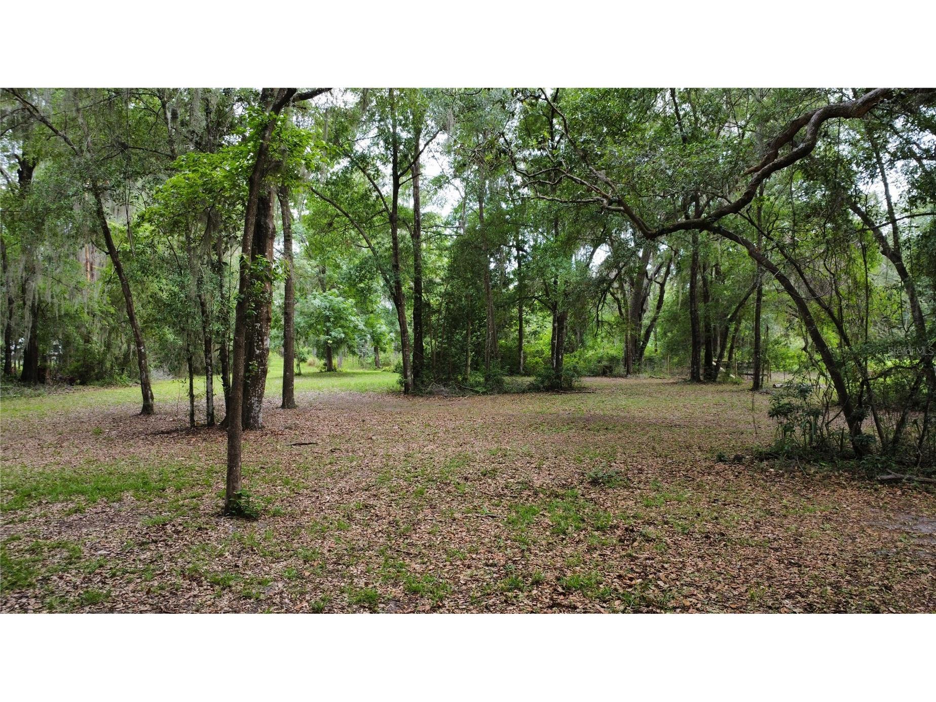 23707 NE State Road 26 Melrose FL 32666 GC540964 image29