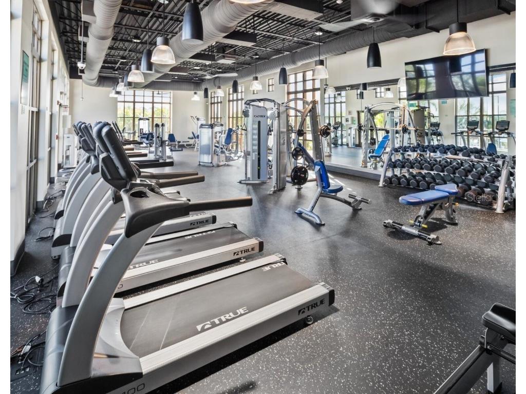 2371 Sea Rock Rose Trail Kissimmee FL 34747 O6361727 image11