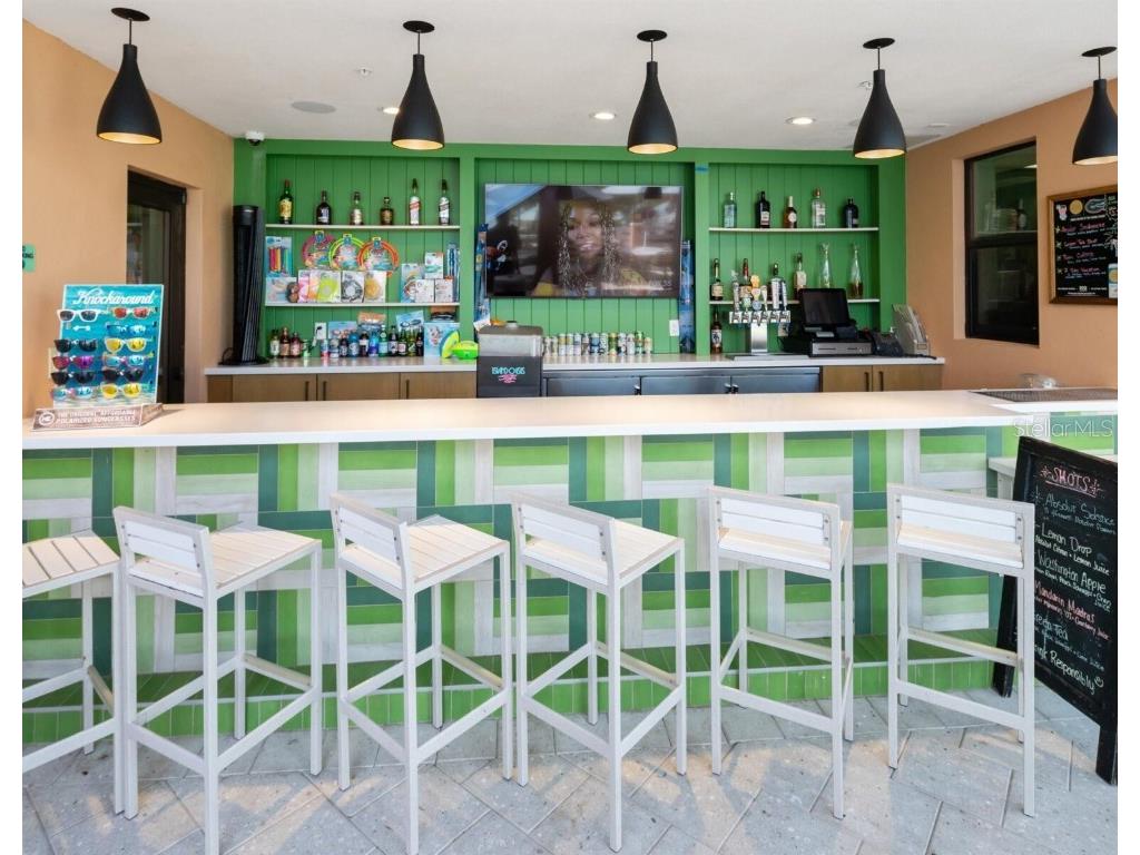 2371 Sea Rock Rose Trail Kissimmee FL 34747 O6361727 image12