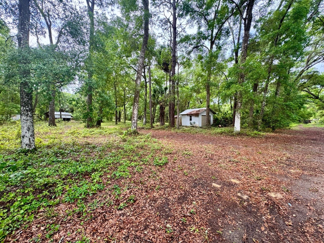 23714 NE 119th Place Salt Springs FL 32134 OM722051 image1