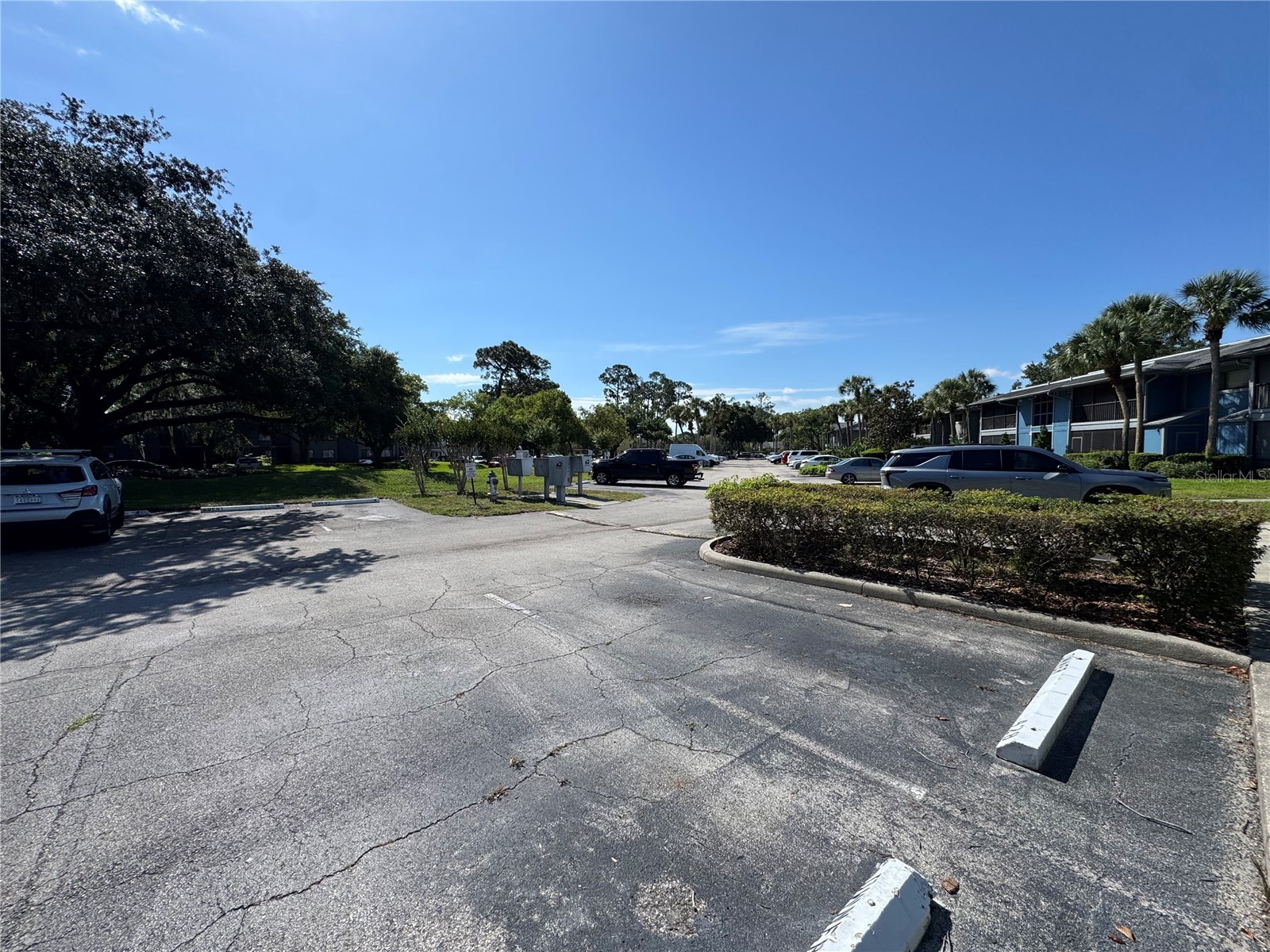 2372 Oak Park Way #104 Orlando FL 32822 O6408681 image28