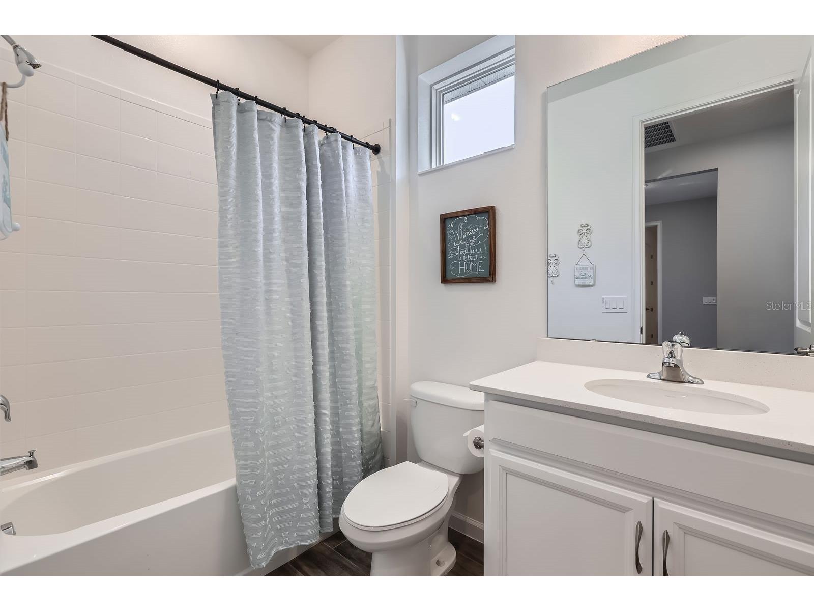 2372 Sirena Lane Mount Dora FL 32757 S5152124 image20