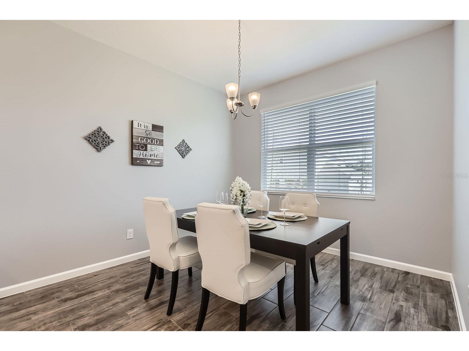 2372 Sirena Lane Mount Dora FL 32757 S5152124 image9