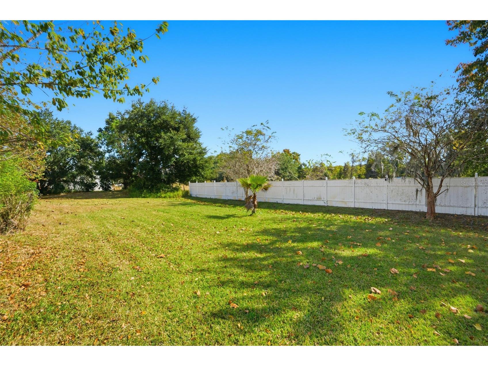 23720 Hideout Trail Land O Lakes FL 34639 O6359862 image43