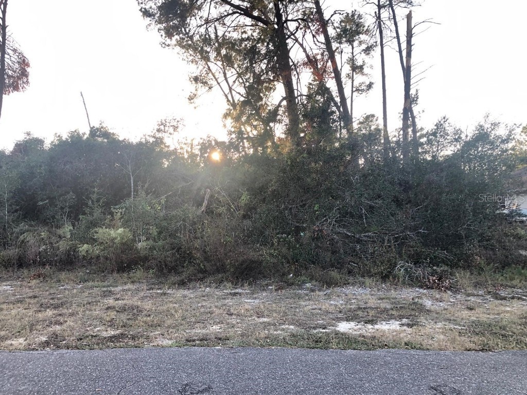 2373 Ardenwood Drive Spring Hill FL 34609 W7869977 image1