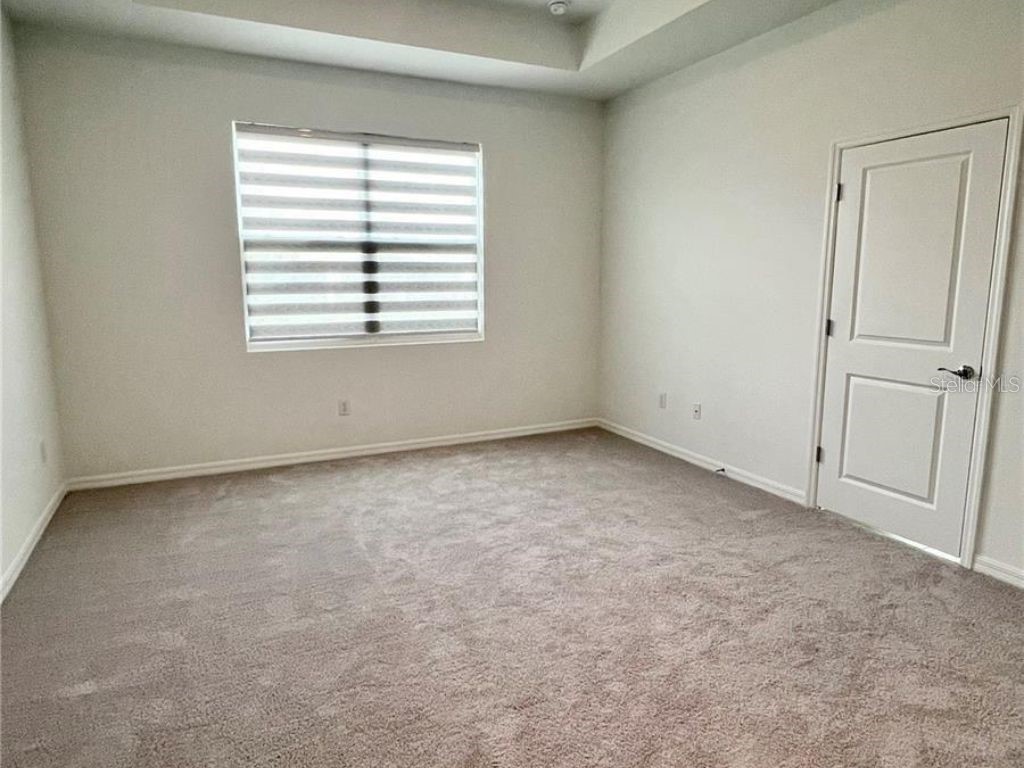 2373 Bending Bonsai Drive Wesley Chapel FL 33543 TB8435979 image11